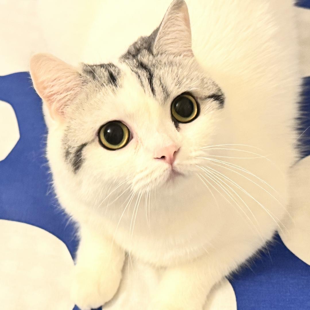 天顺的神来小尾🥰