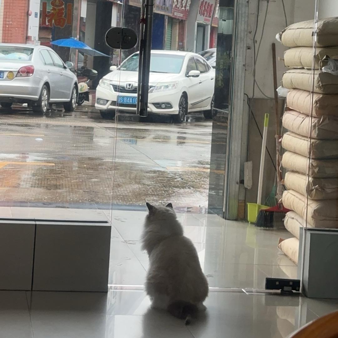 章木头🪵（塑料贸易商👍）