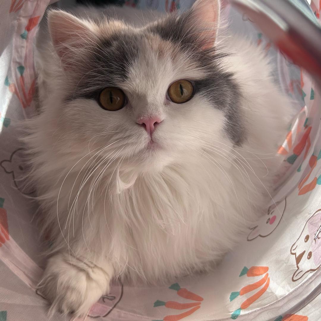 AAA地板批发老靳