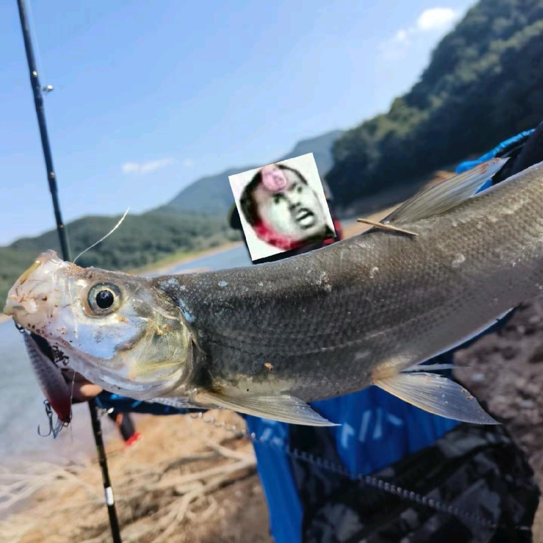 路亚-小黑子🎣（小号）