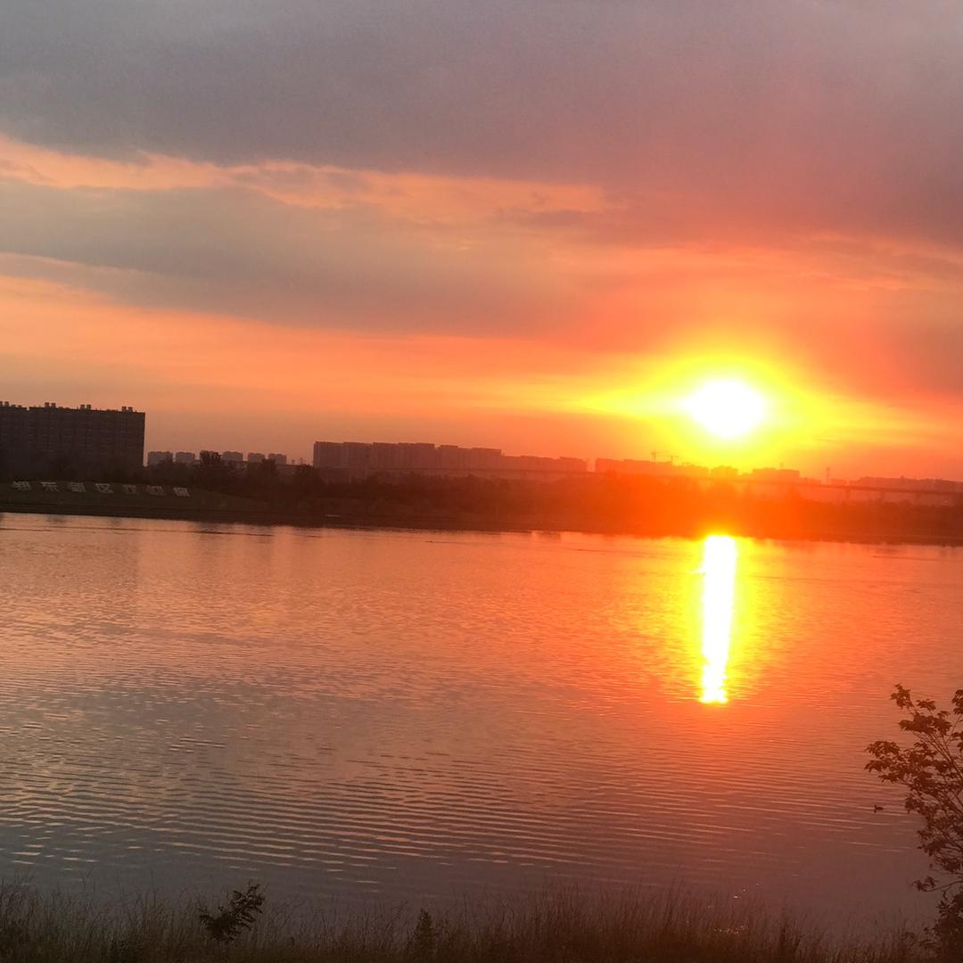 让我向西偏向东