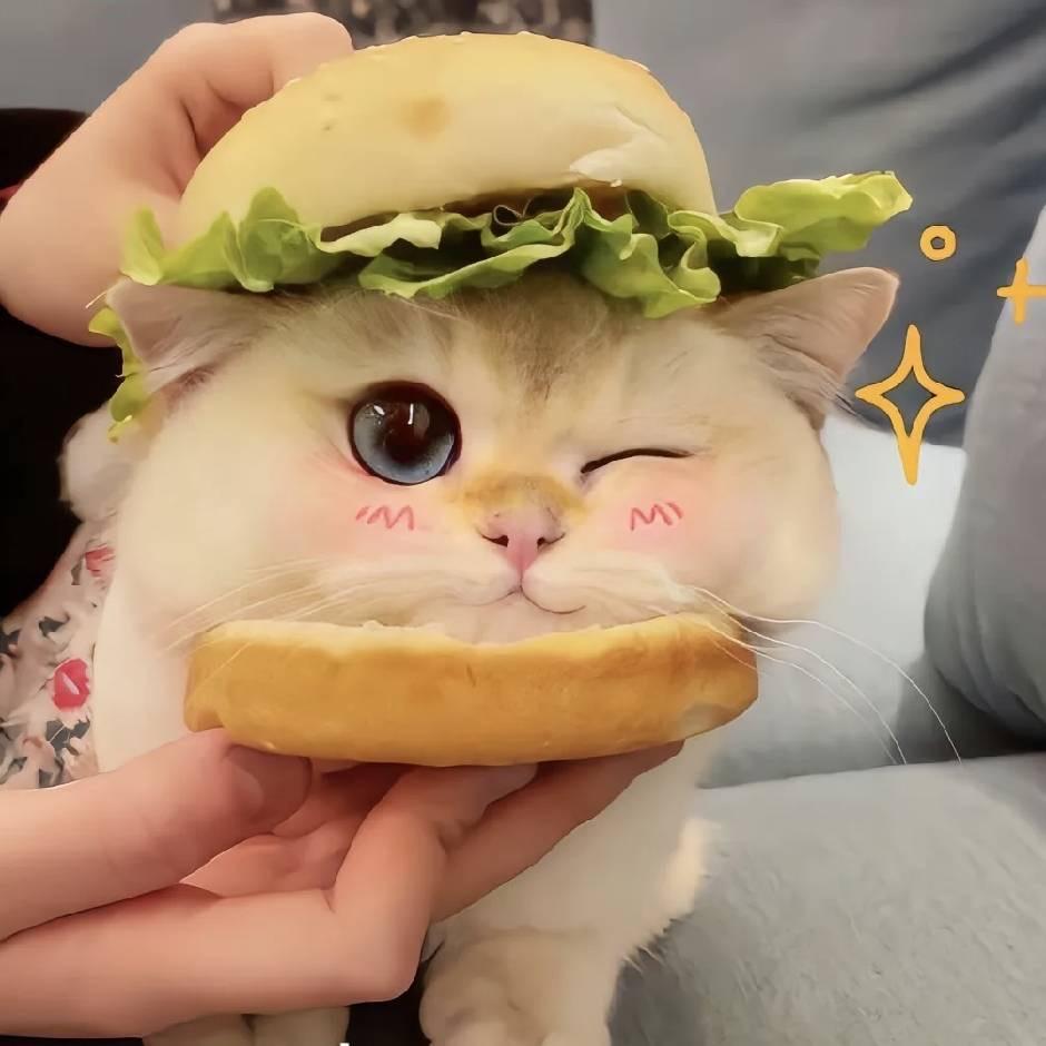 我真的呼不着🌟