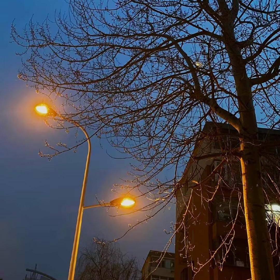 榴莲夕夕水果店