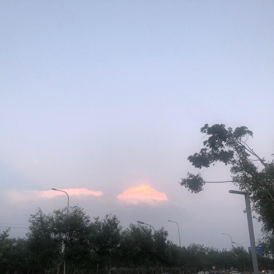 威帮主(鼠鼠的家)