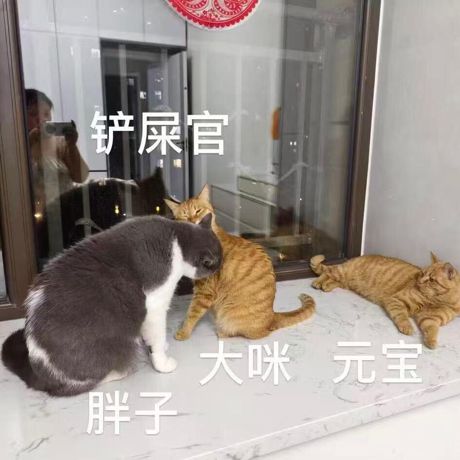 家有三宝