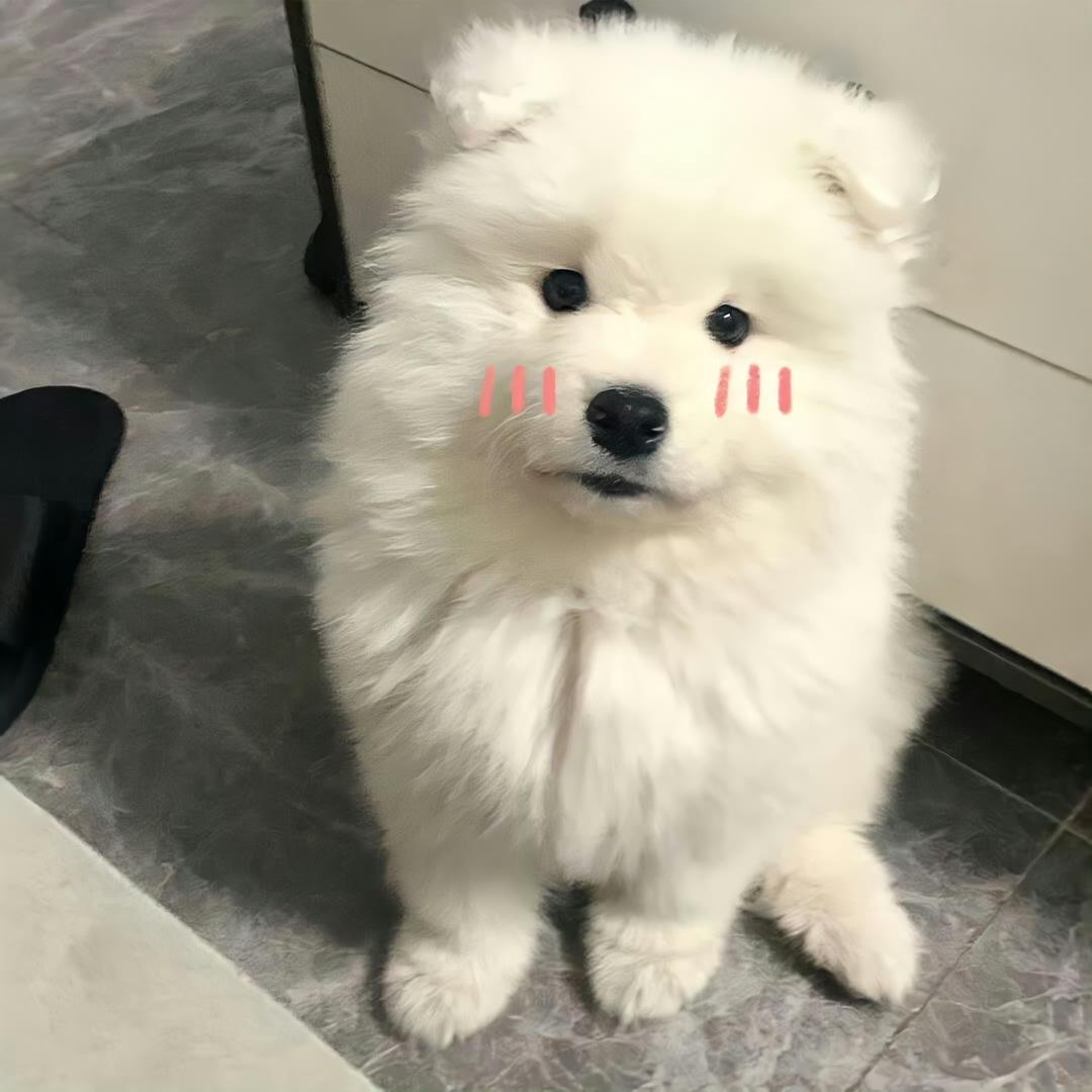 诗意睡不醒