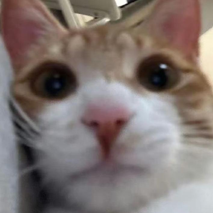 巧克力^
