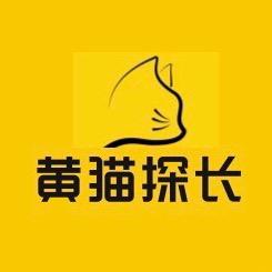 黄猫探长