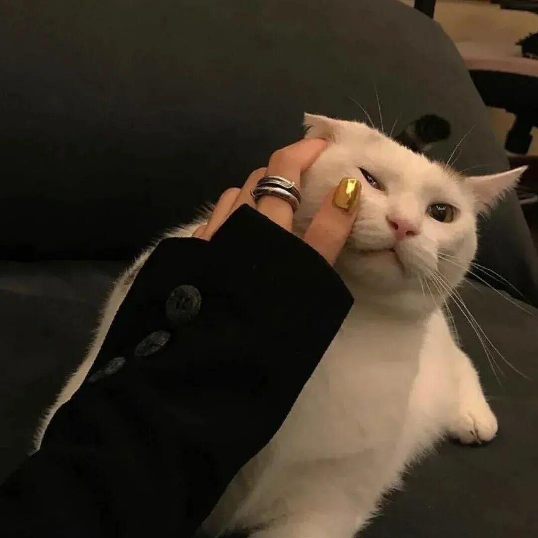 咿呀咿呀呦