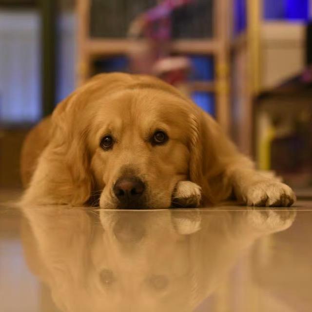 ···  ···⁸³²