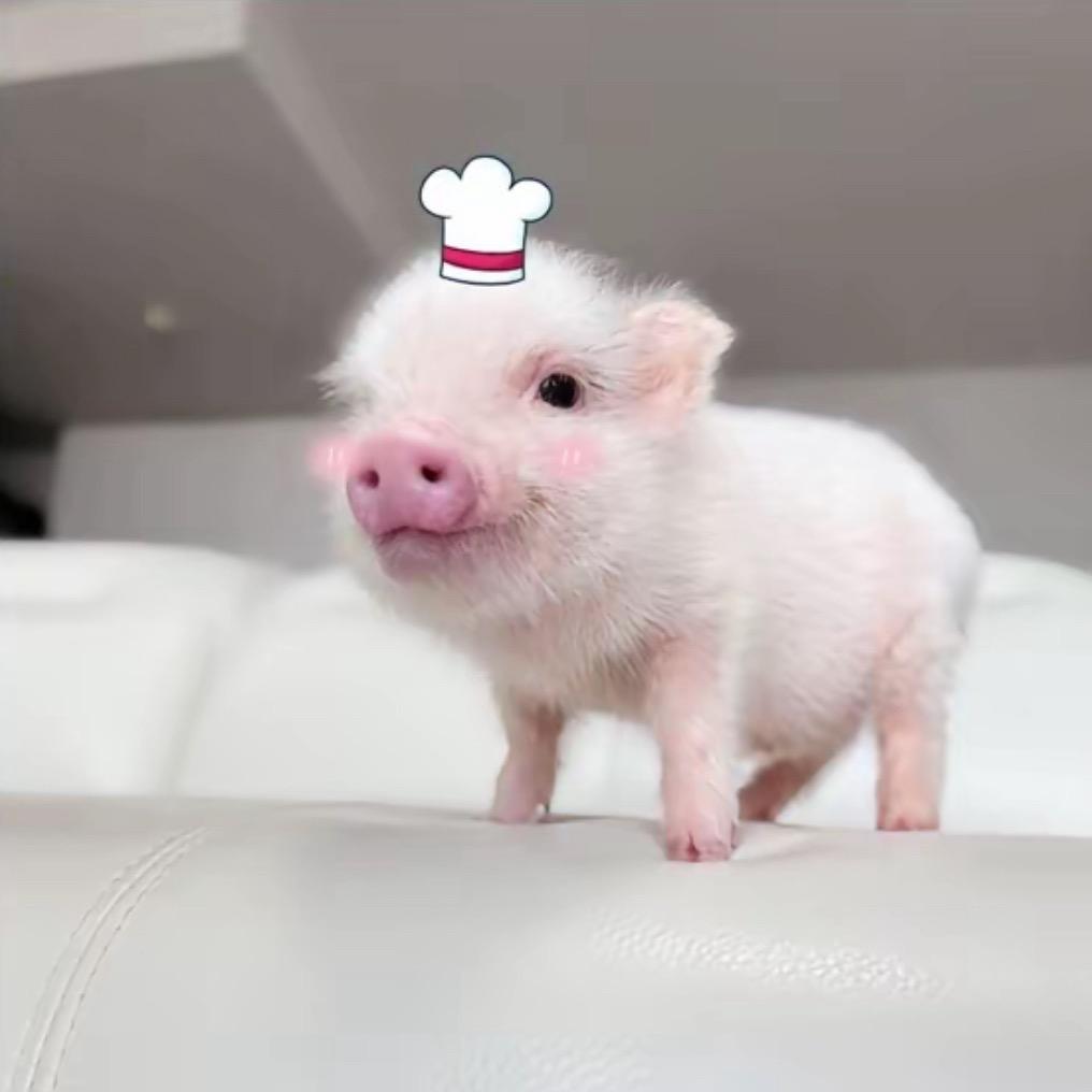 法令纹能夹死蚊子