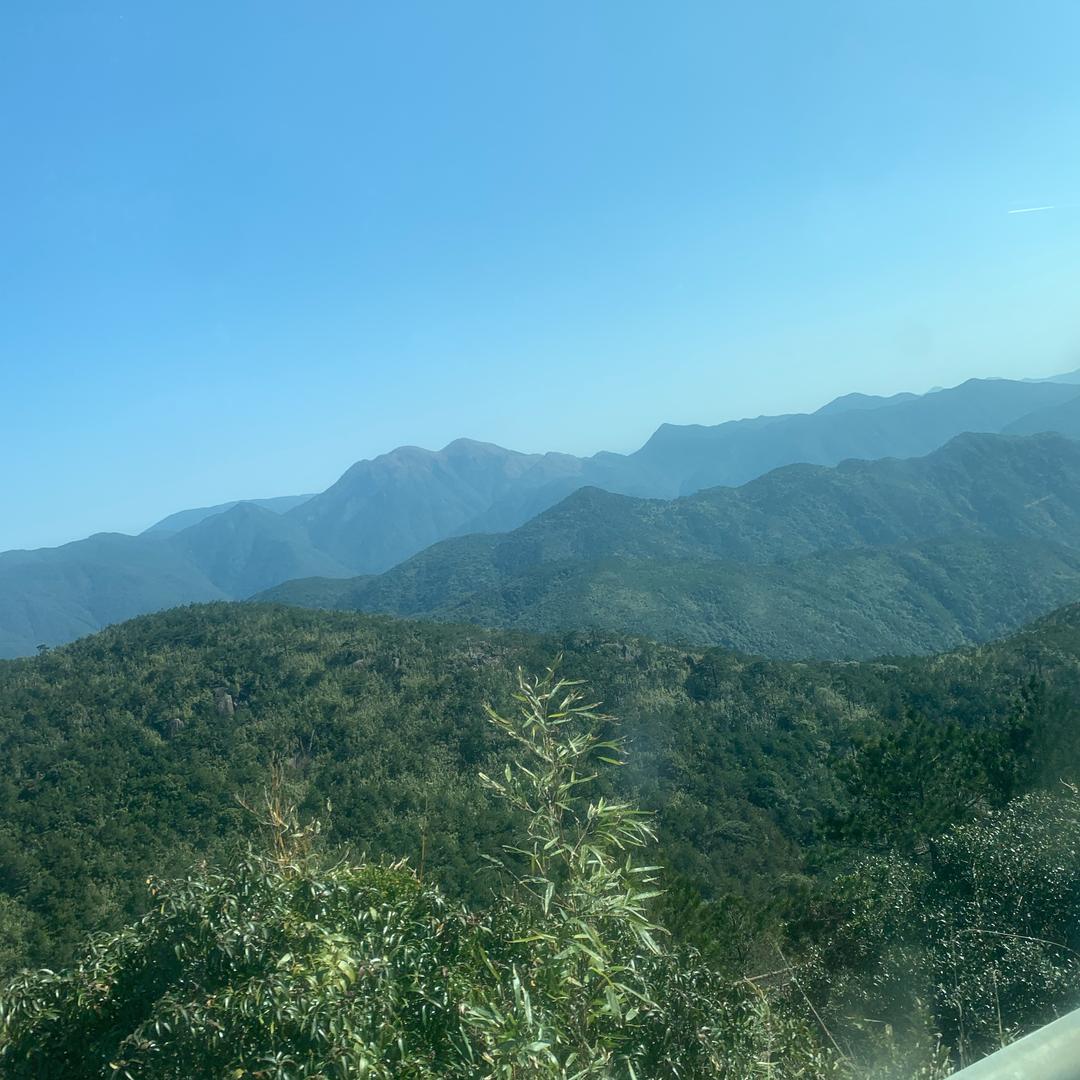 虫虫优选