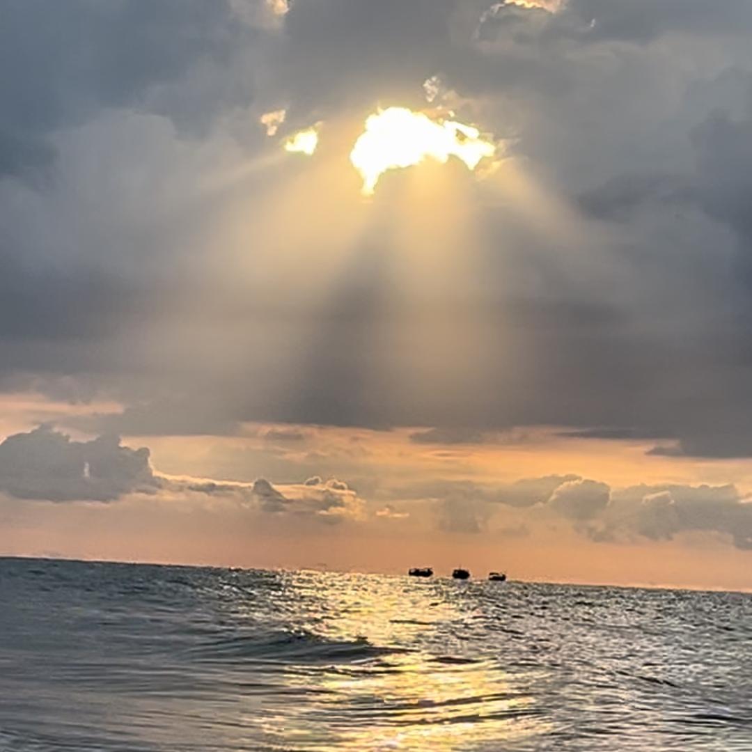大美 赶海