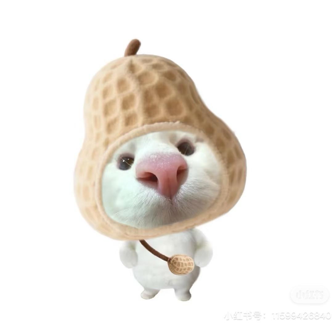 晚上吃什么