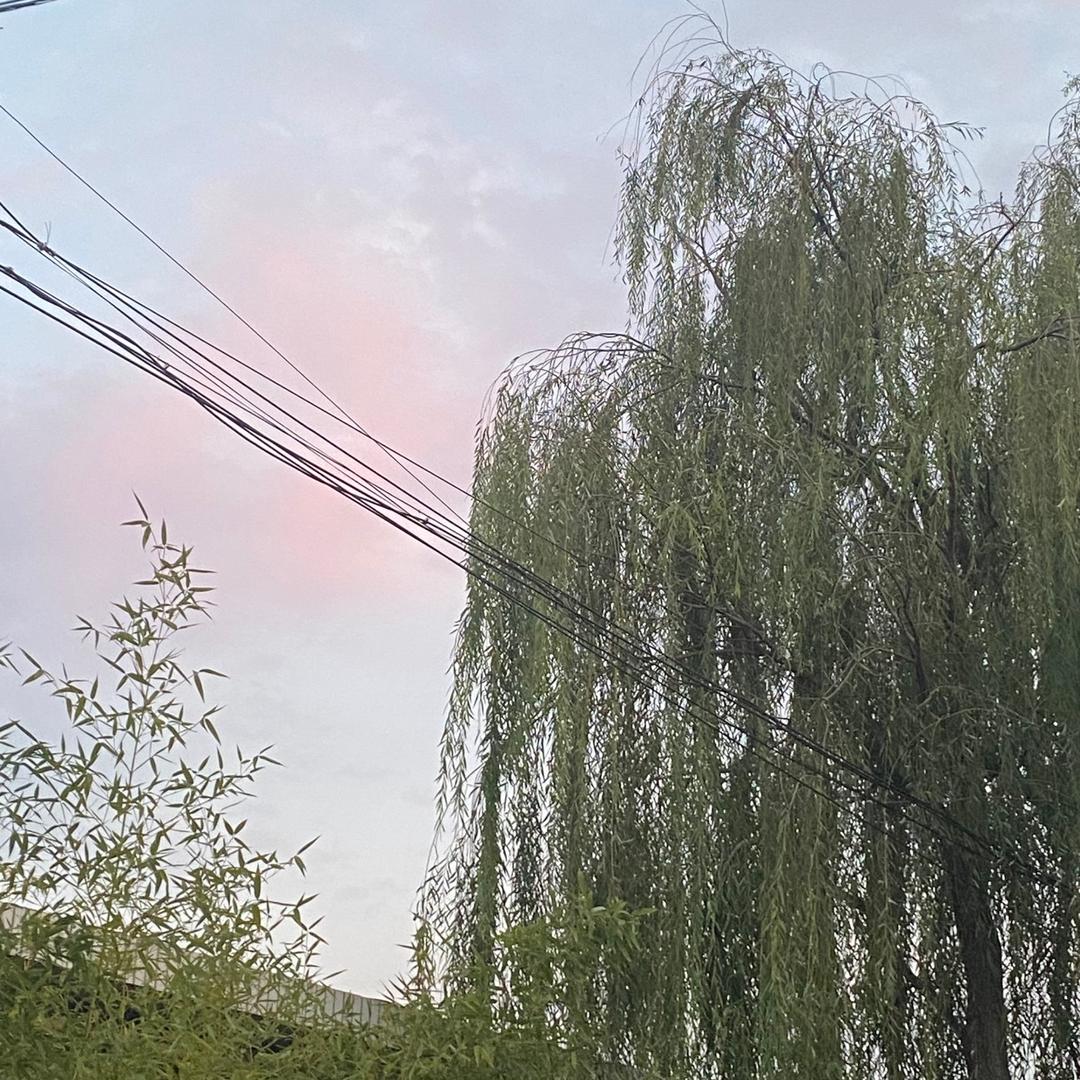 绾木灵研.🌾🥶🥵