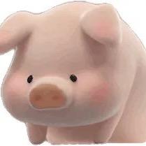 🐷儿