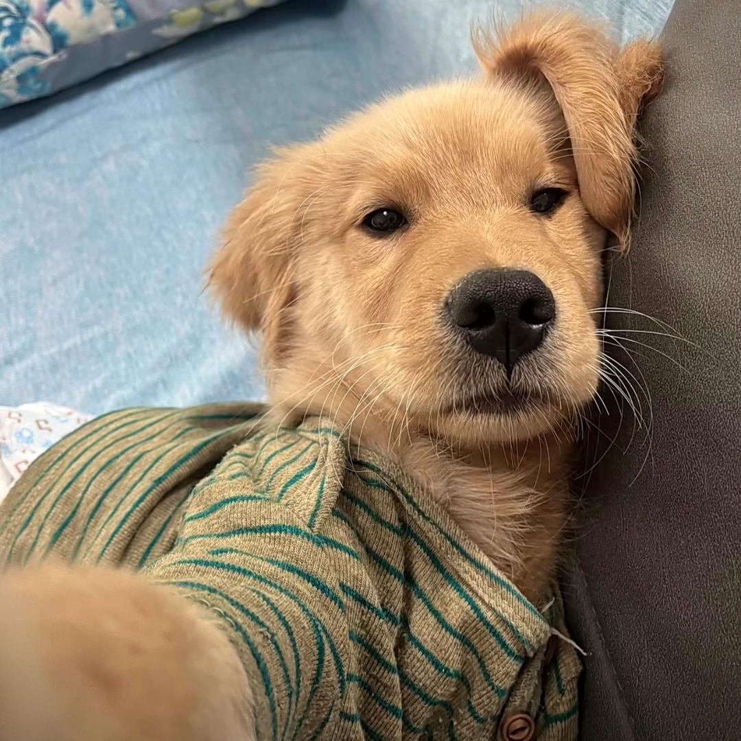 能给我一杯咖啡吗