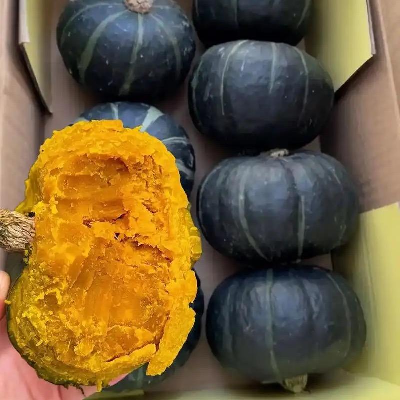 河乐青甄选内蒙古正宗沙地贝贝南瓜