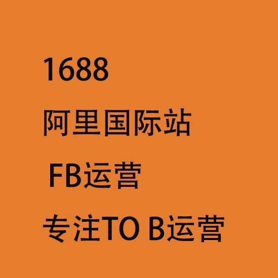 外贸国际站运营lisa