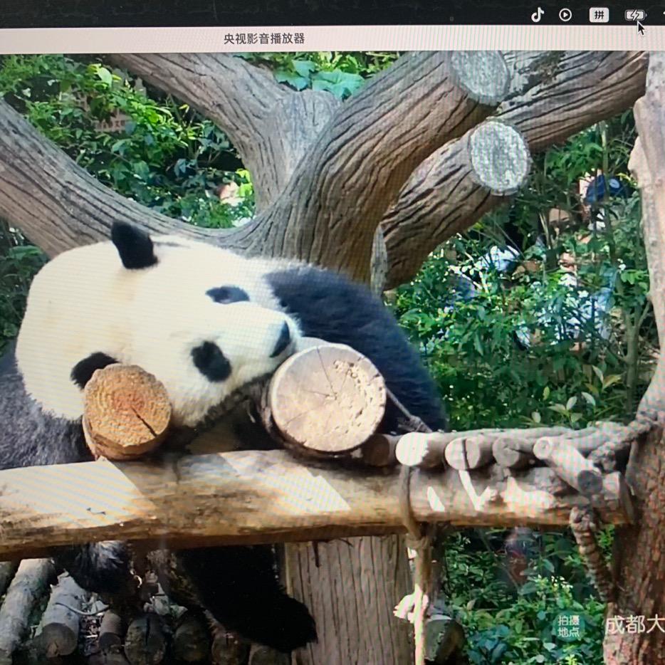 低头看日出