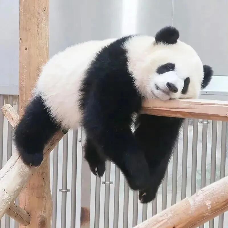 ン紫月乄