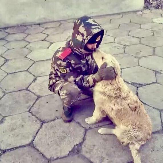 🌈人间无事人·