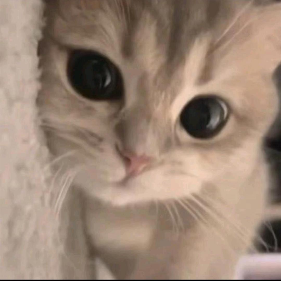 妥