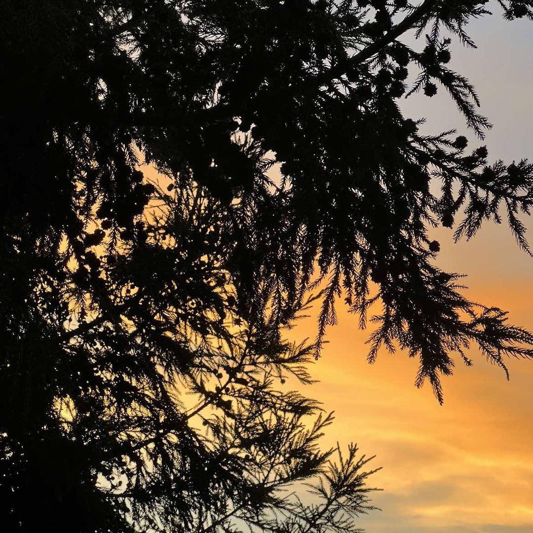 三餐四季😊粗茶淡饭