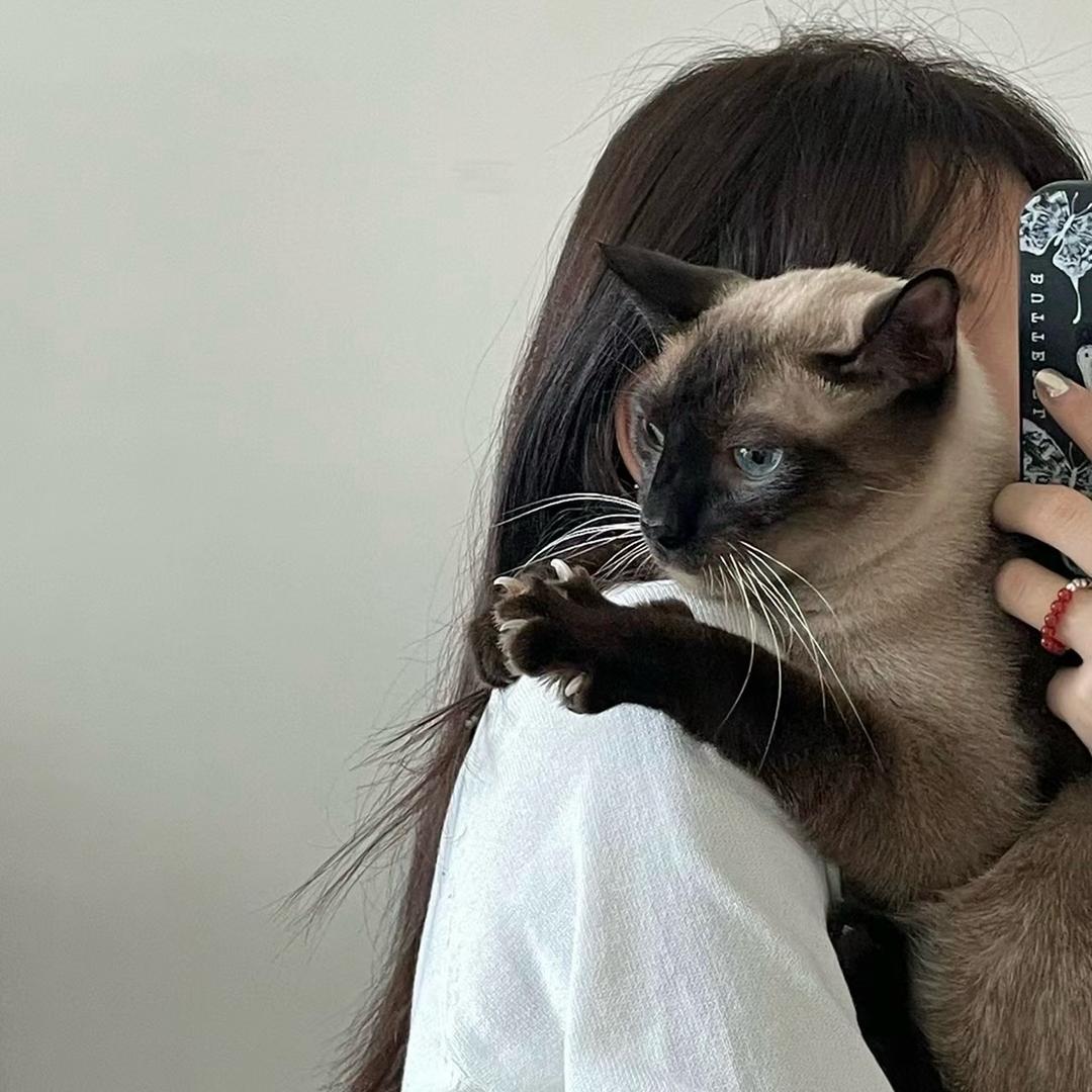 🌈西瓜和满兜🐱