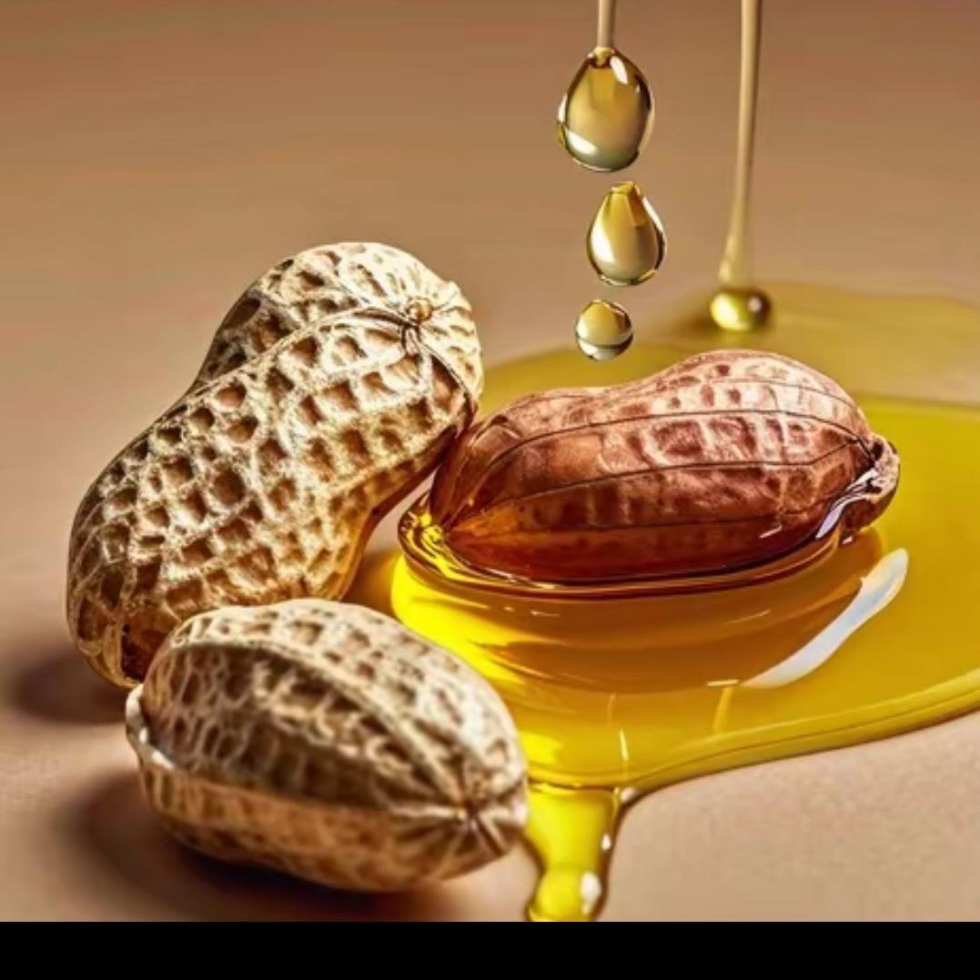 游总双十一实力宠粉🏠