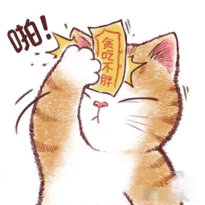 丸子酱酱