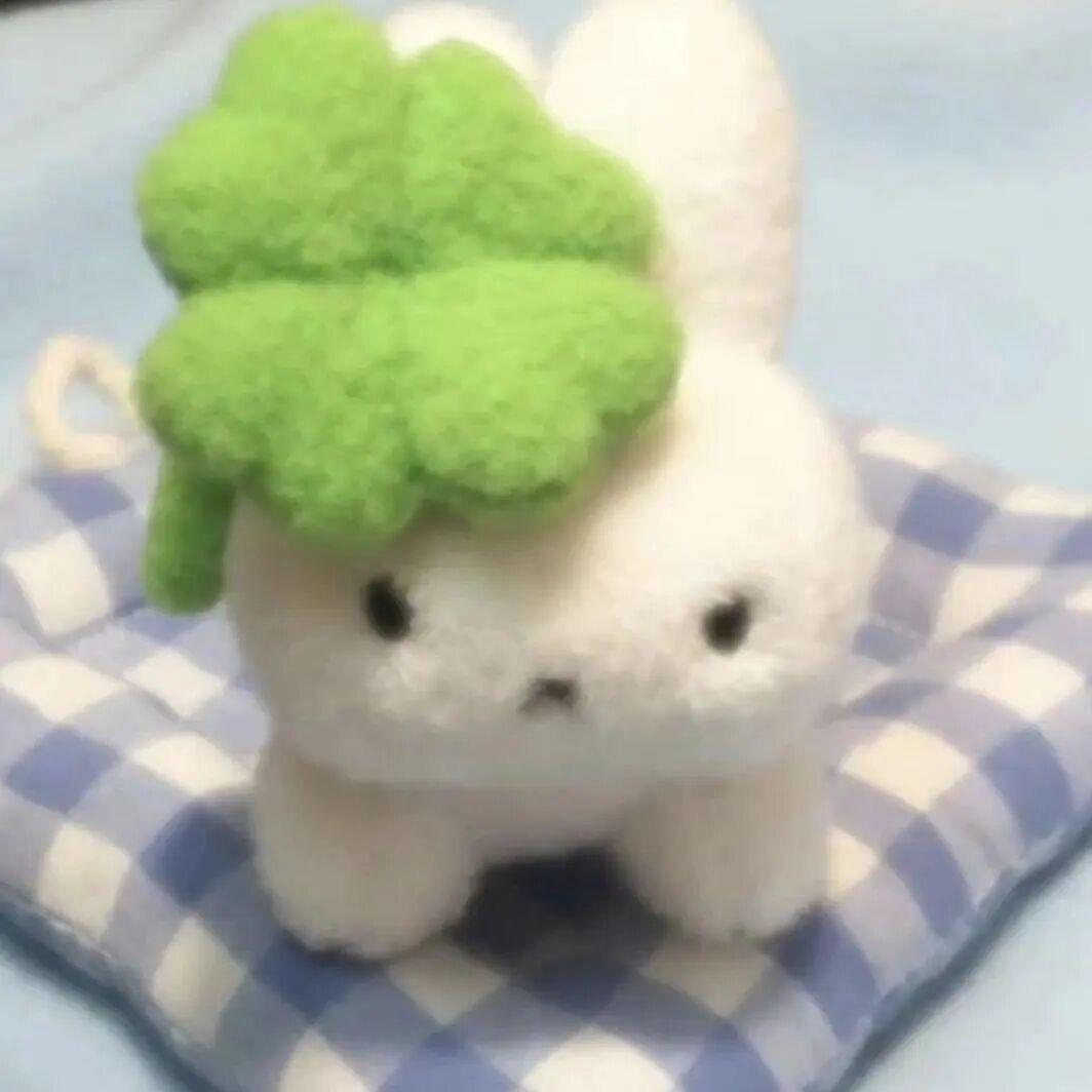 阿岚