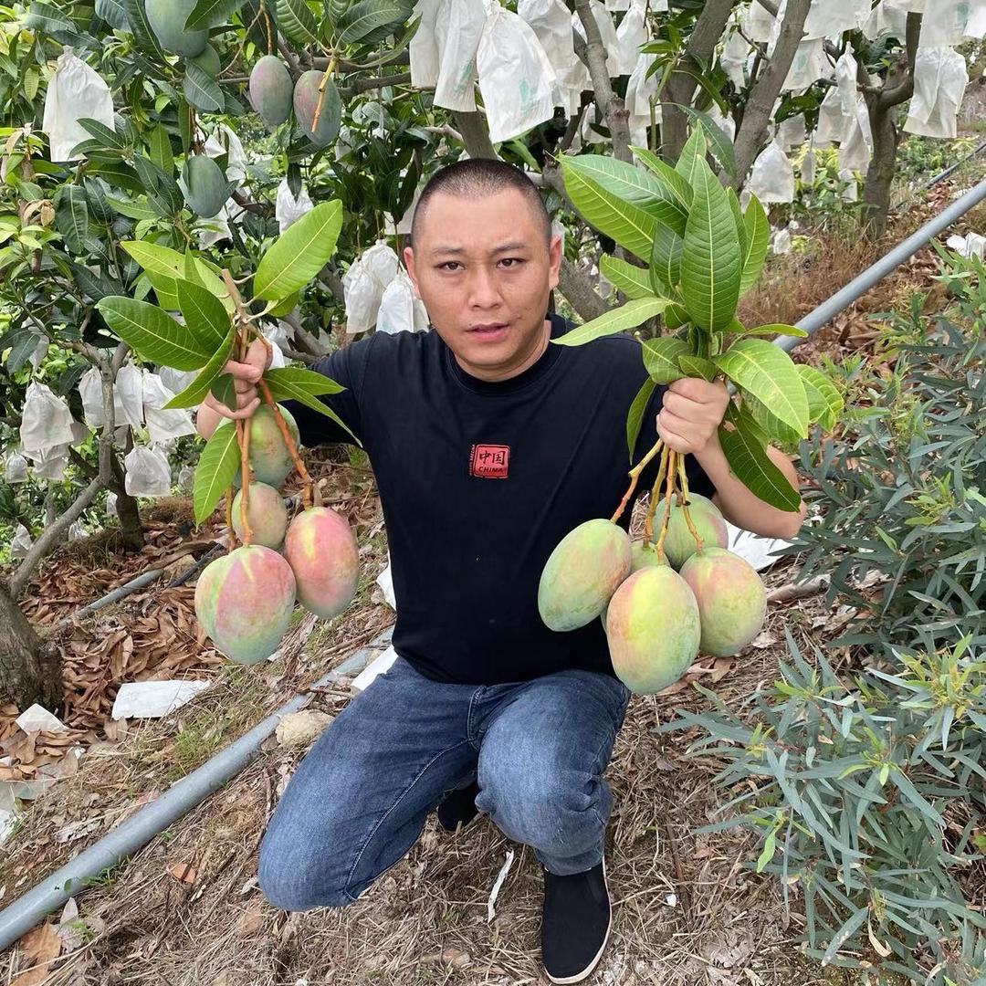 老表.果园a