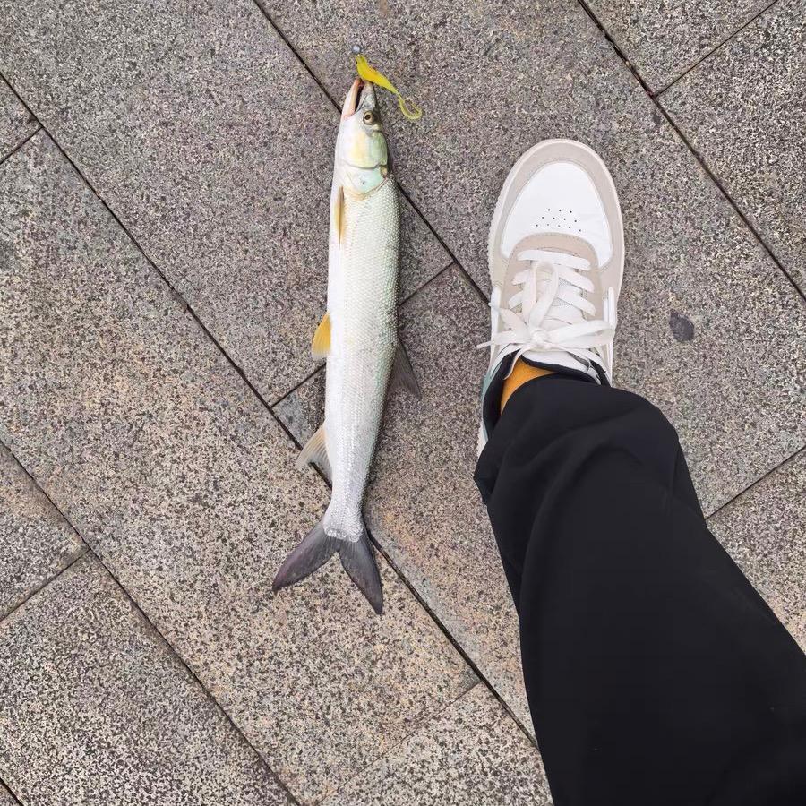 奥利给打龟互助会🎣