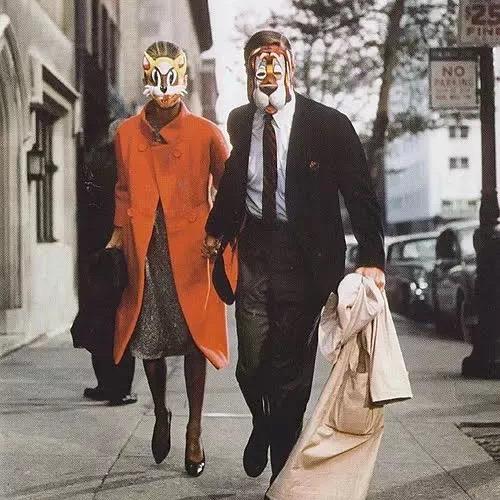 花某某～不务正业版