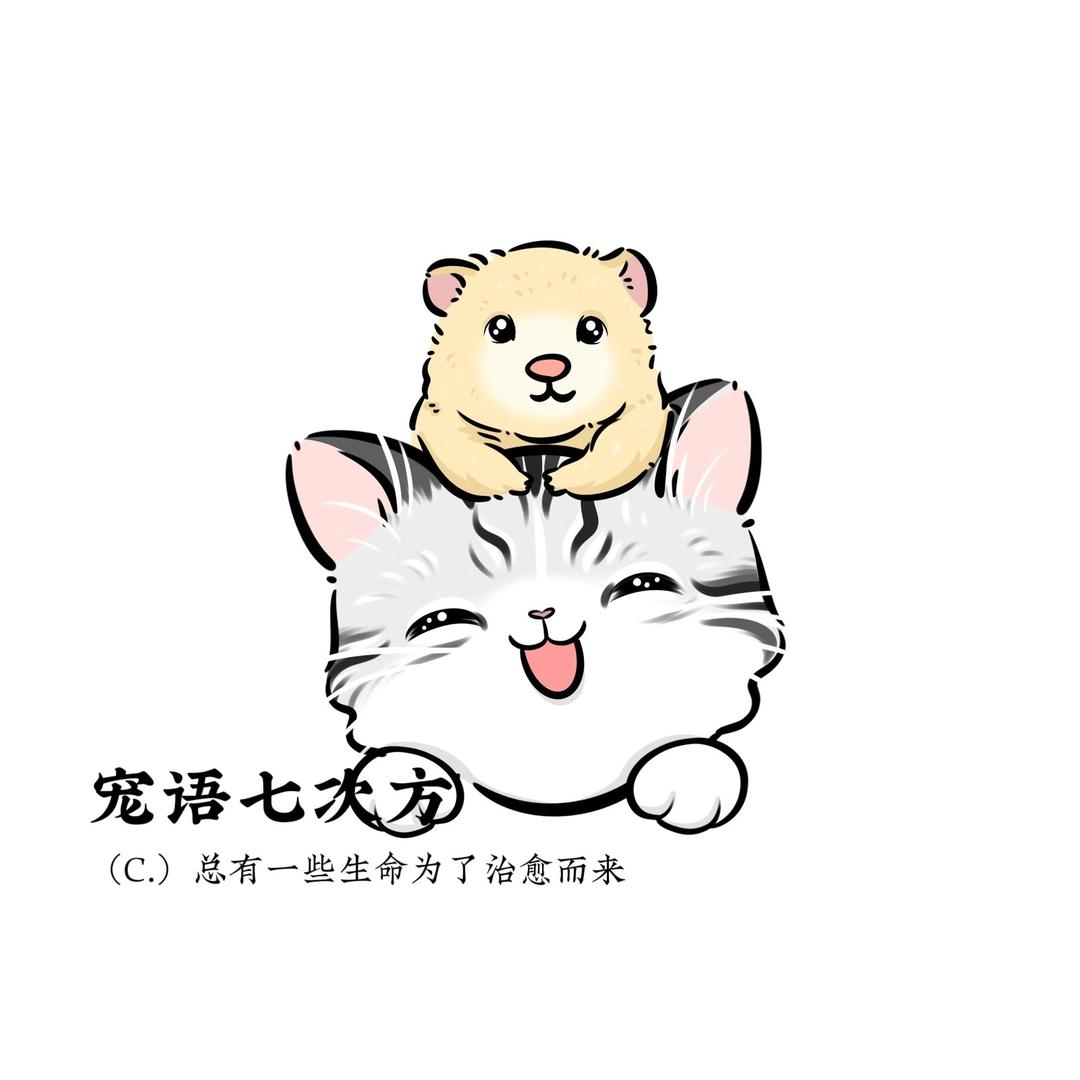 宠语⁷（出🐻)