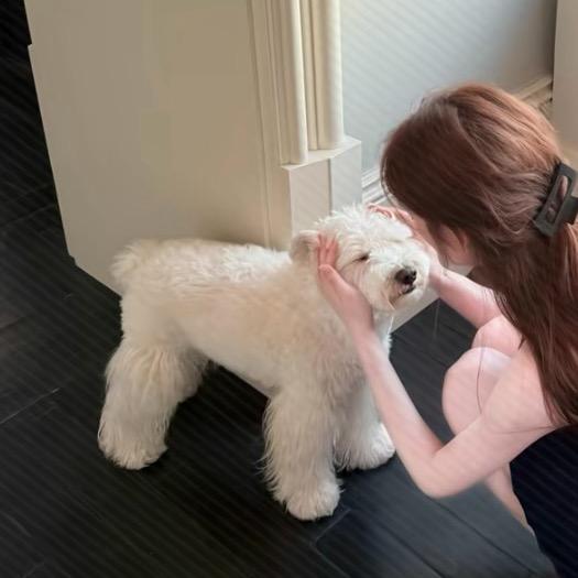 雨天‍‍‍‍‍‍‍‍