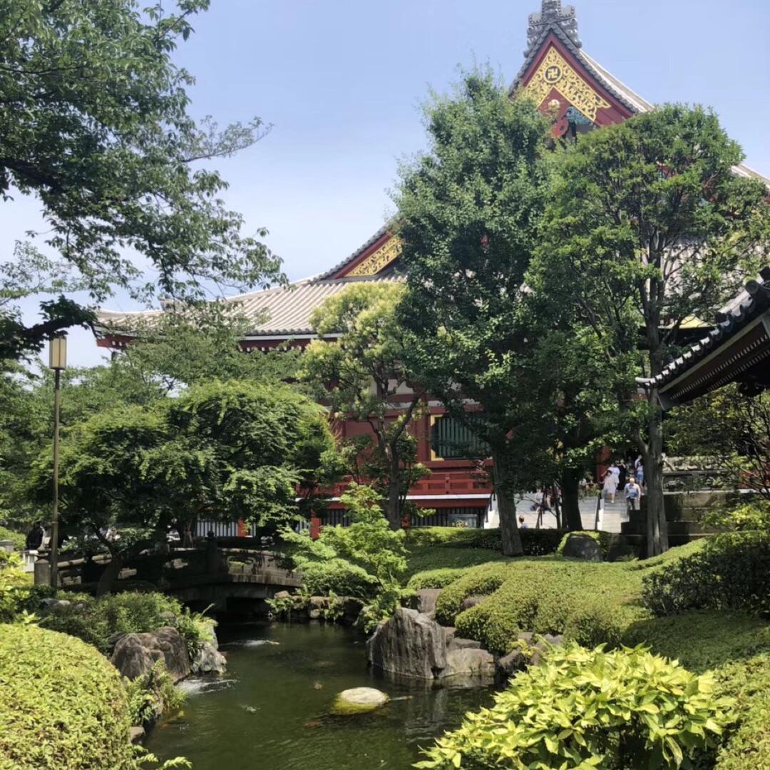 卫。