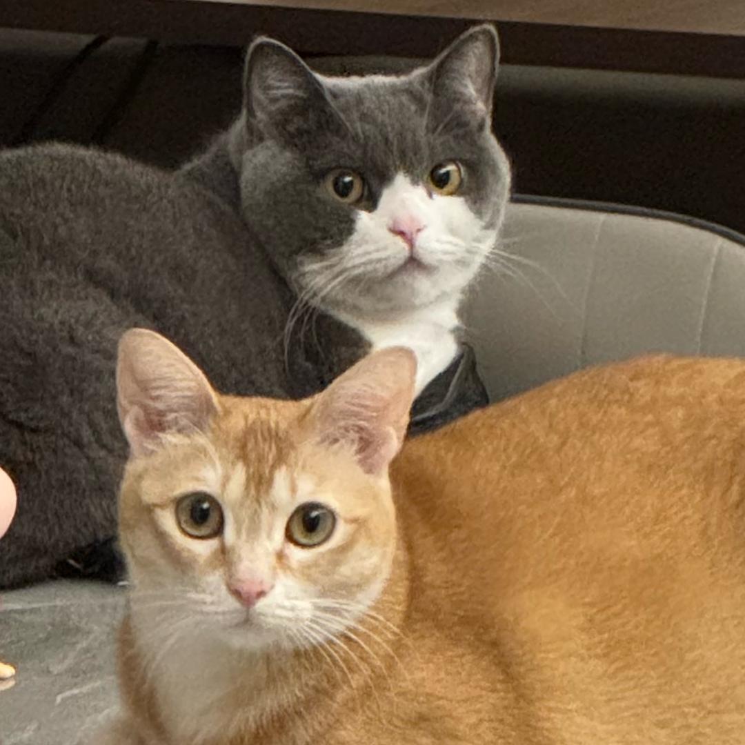 吴师傅的杂货铺