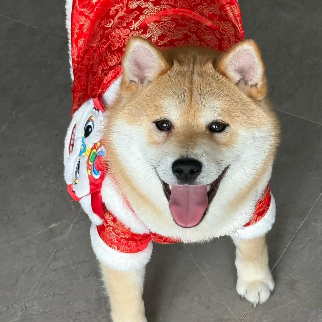 绎眼万年