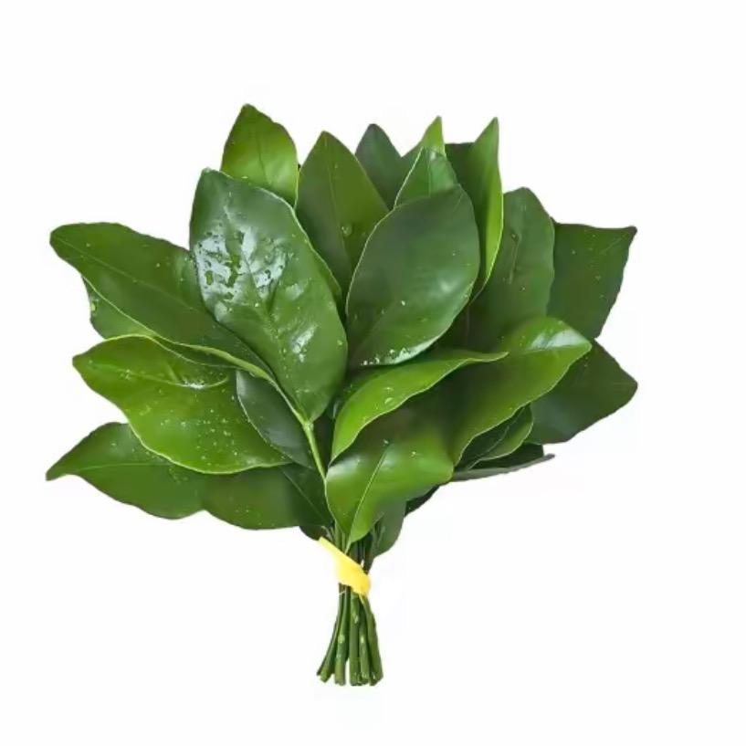 柚子.