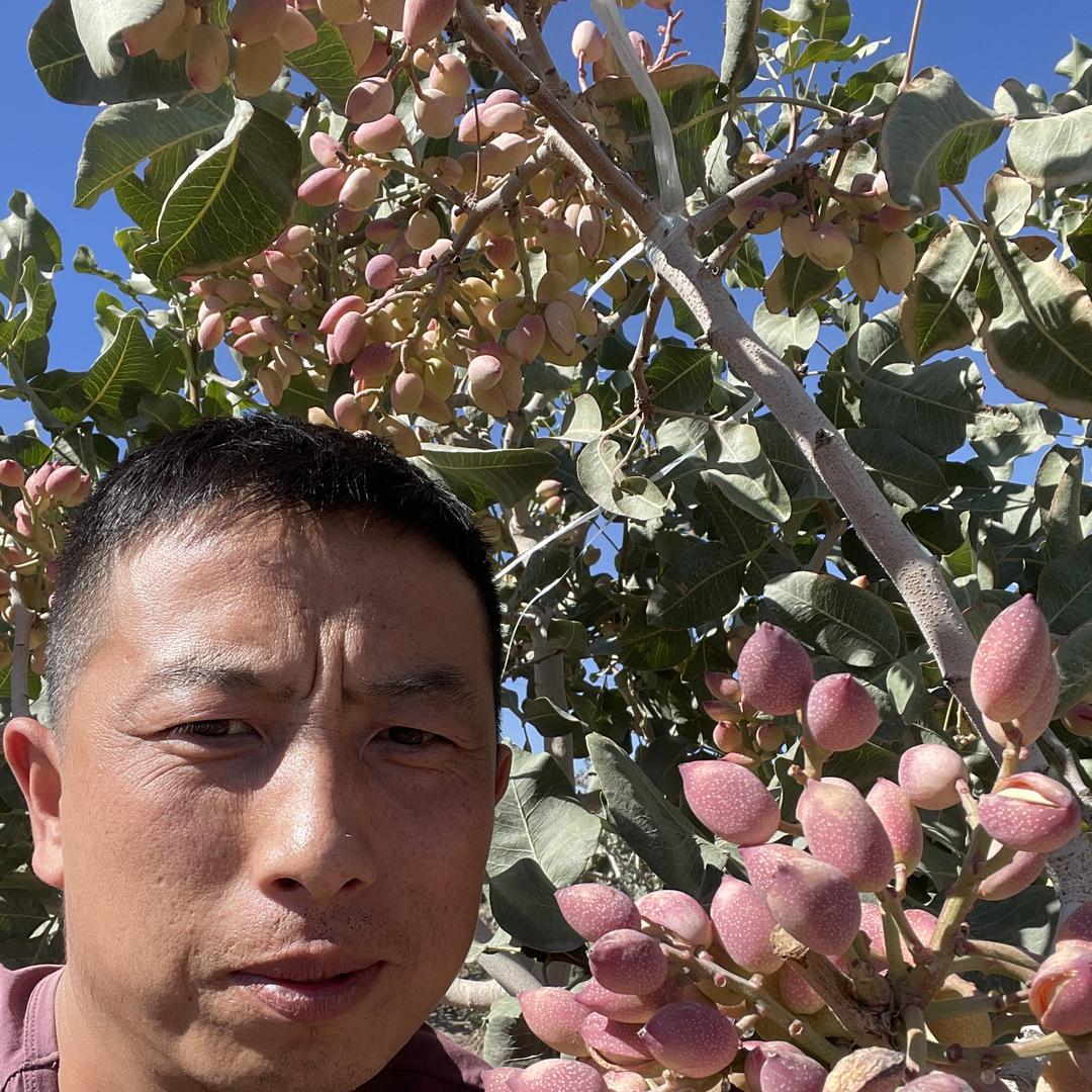 张凯土特产疆硕果业