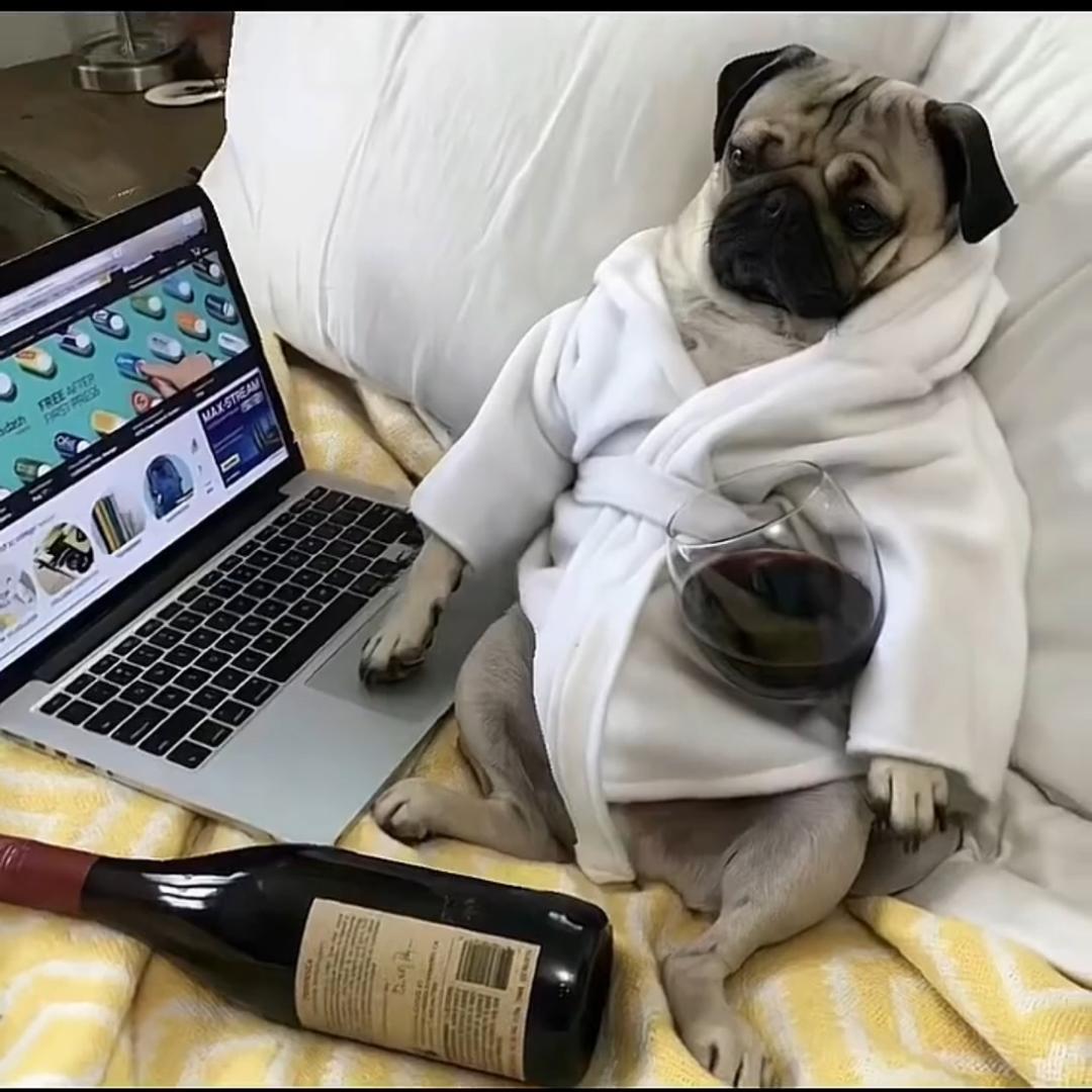 擒贼先擒王胖子