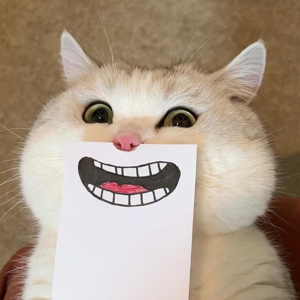 夜猫