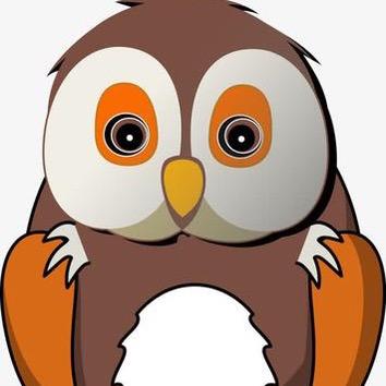猫头鹰🦉