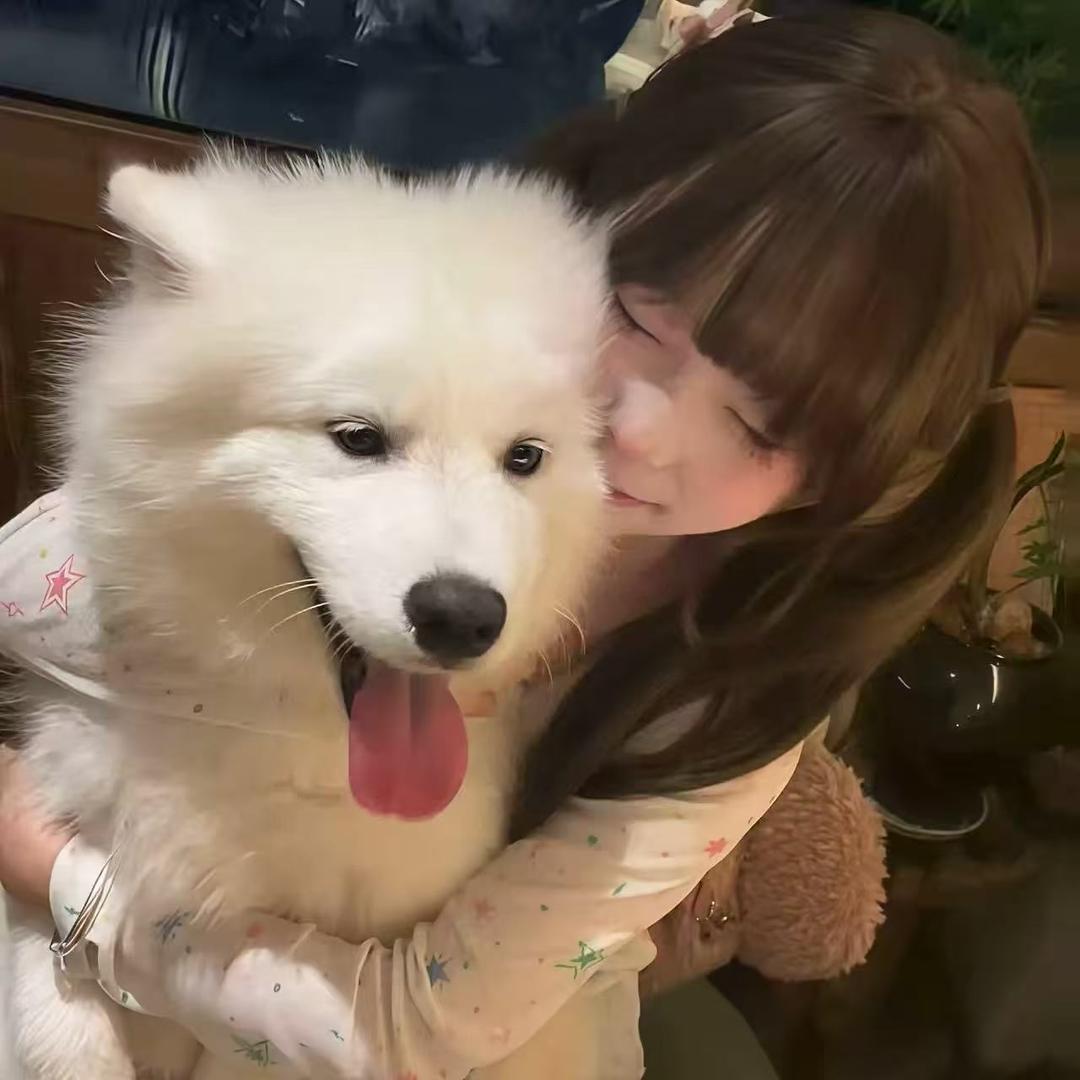 爱吃豆角