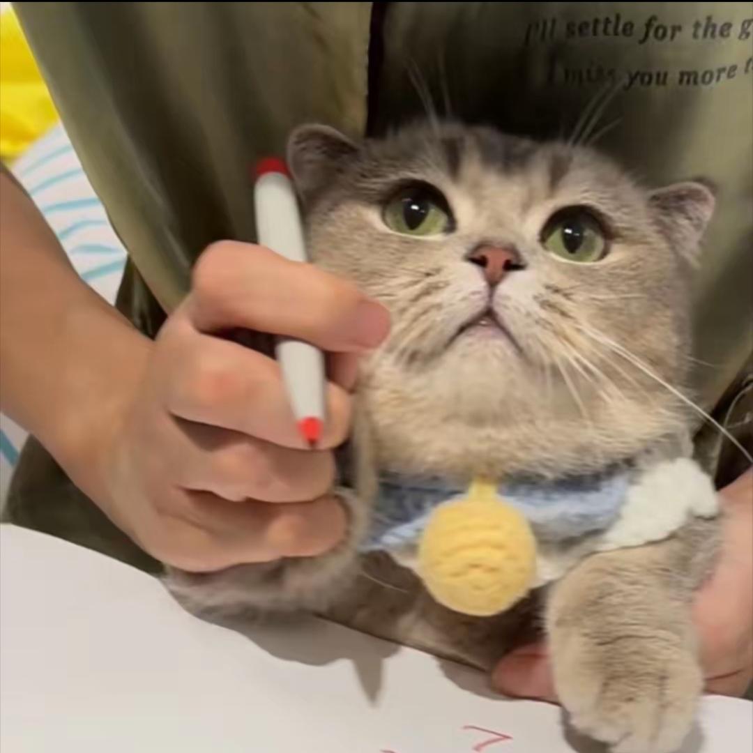 合肥市蜀山区柳露百货