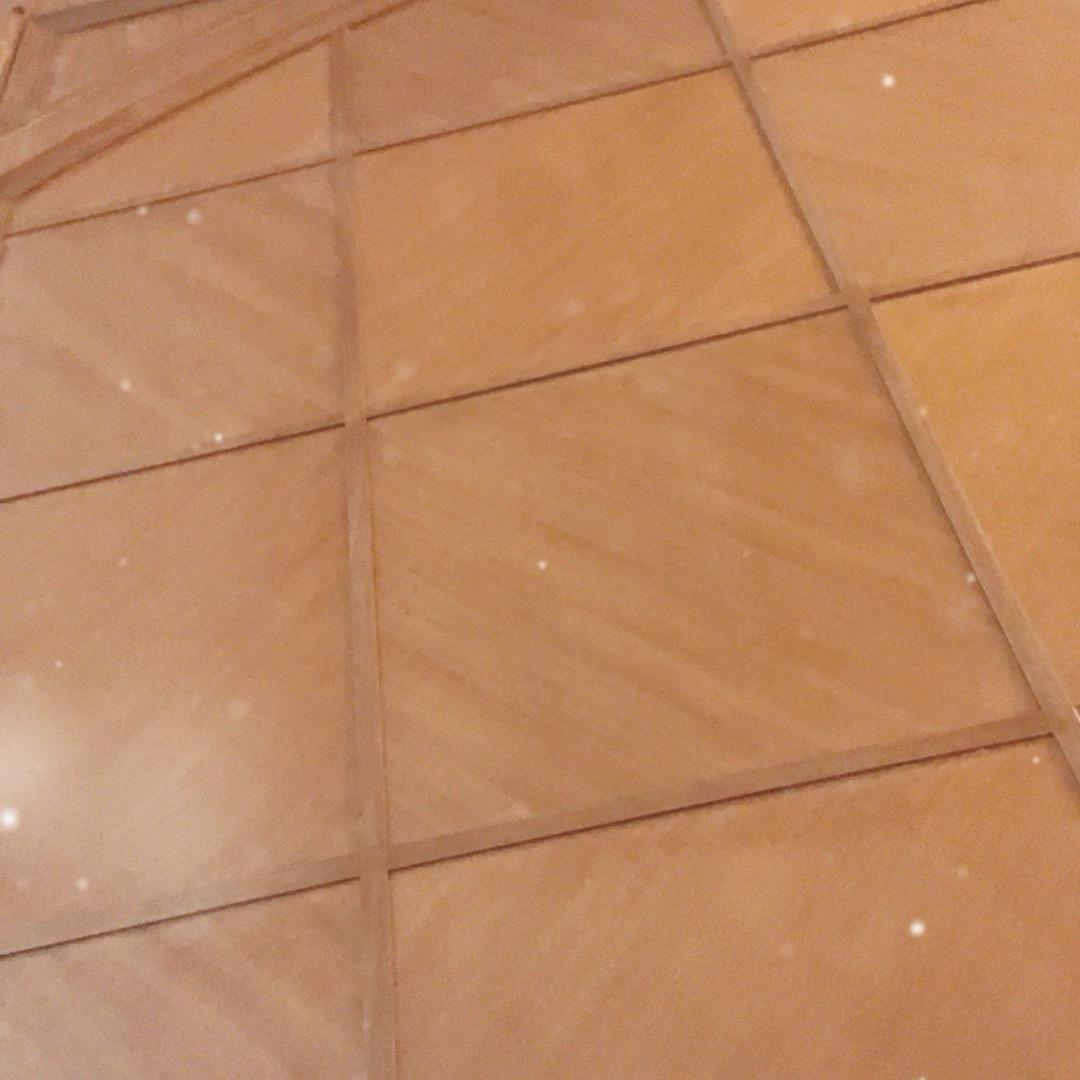 我是一个勤劳的蜜蜜