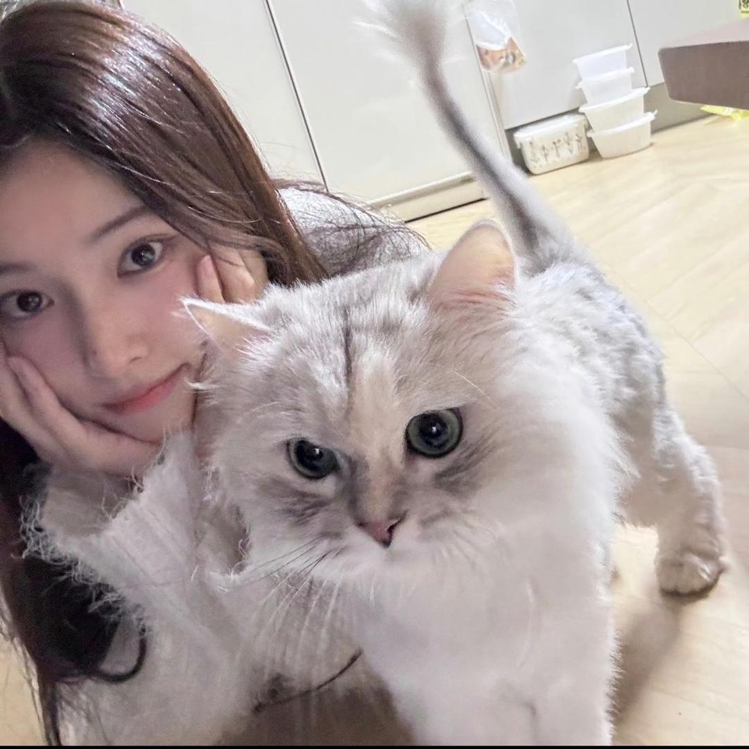 三口吃掉鸡肉串