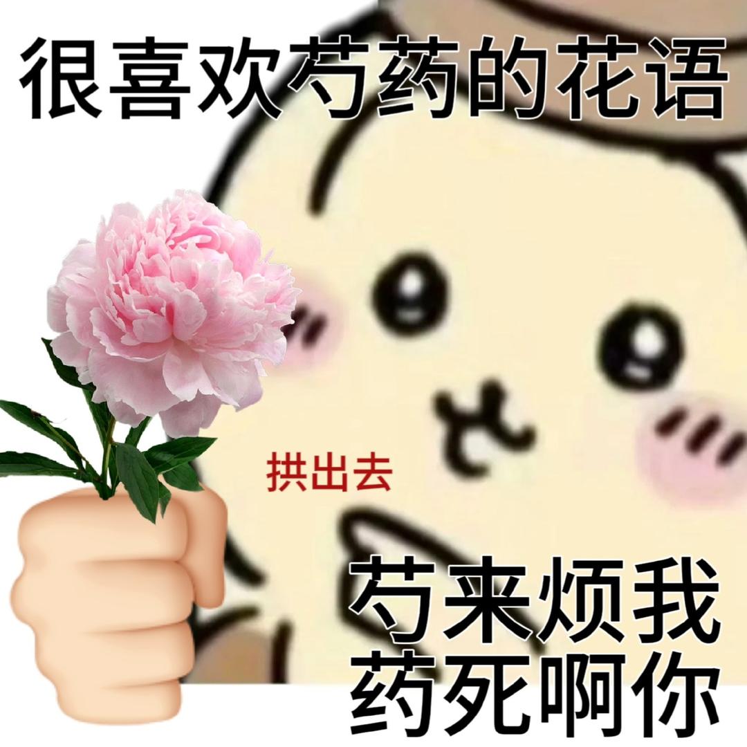 我是嫩叠